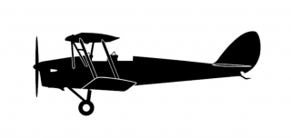 sticker Tiger moth (15cm black)
